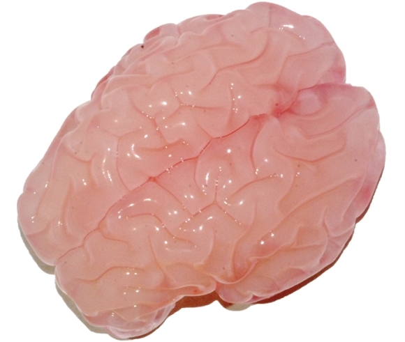 Mózg - model 3D