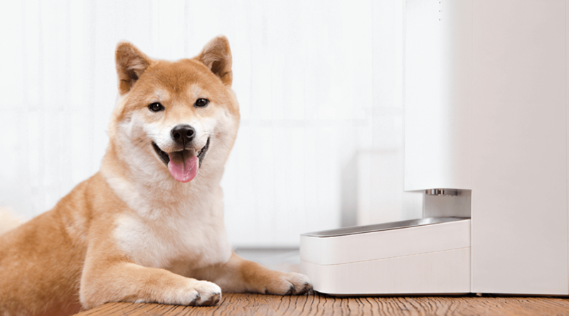 Xiaomi Smart Pet Food Feeder – automatyczny podajnik karmy dla zwierząt