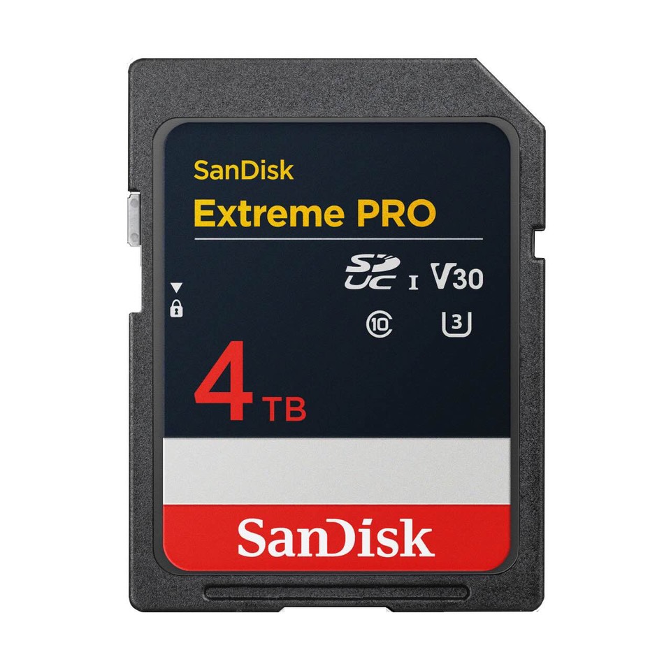 karta pamięci SanDisk