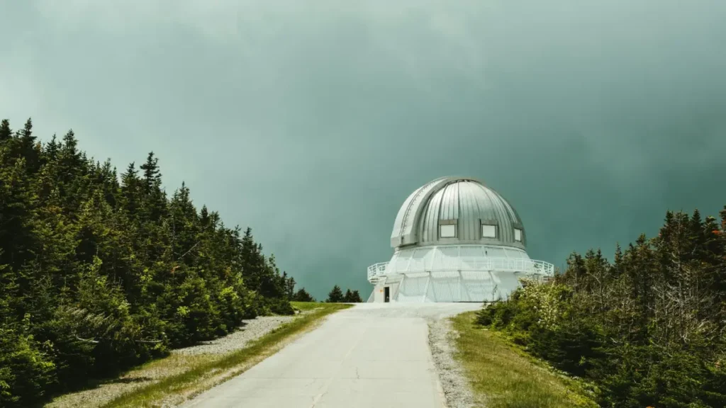 obserwatorium kosmiczne w lesie