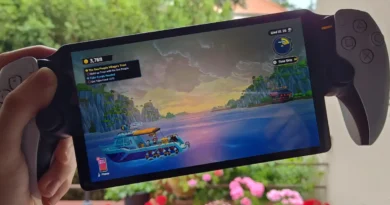 PlayStation Portal