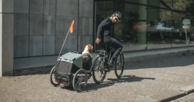 przyczepka Thule Bexey
