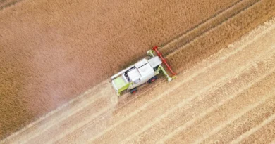 Młodzi chemicy ratują polskie rolnictwo przed pestycydami