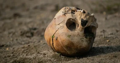 Makabryczne odkrycie w Turcji! Starożytny „kanał krwi” ujawnia rytuały sprzed 6000 lat!