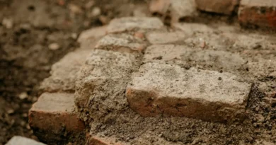 Wielka tajemnica irlandzkiej szlachty odkryta! Fort Rathgurreen skrywa więcej, niż sądzono!
