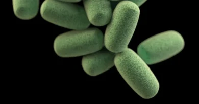 Nowy antybiotyk daje nadzieję w walce z groźną bakterią C. diff – przełomowe wyniki badań!