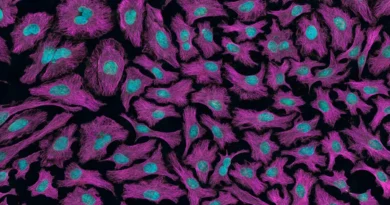 Ważny przełom w chemii medycznej. Może być pomocny w leczeniu nowotworów