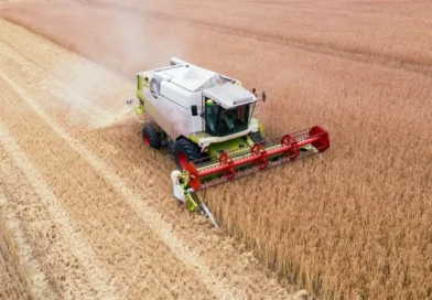 kombajn podczas prac polowych