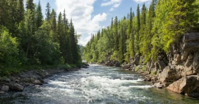 Rzeki, rolnictwo i klimat. Jak nauka łączy siły z naturą