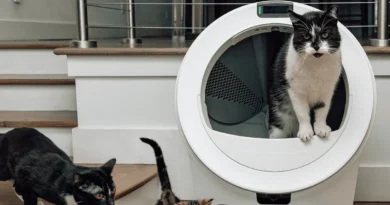 kuweta whisker litter robot 5 pro jest odpowiednia dla kotów różnego rozmiaru i w różnym wieku