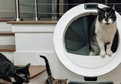 kuweta whisker litter robot 5 pro jest odpowiednia dla kotów różnego rozmiaru i w różnym wieku