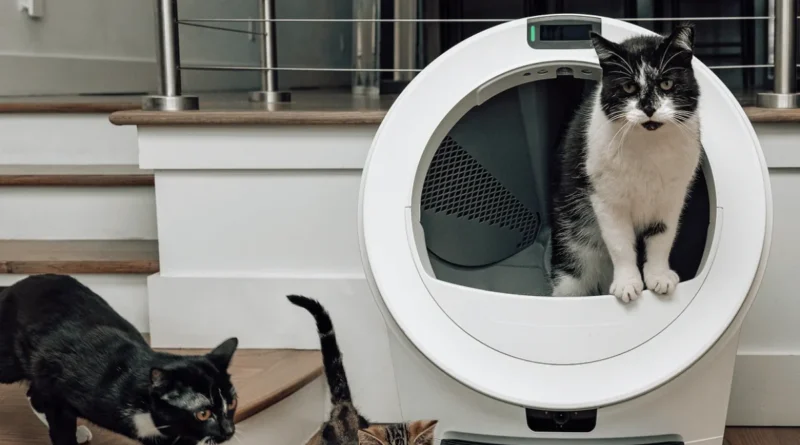 kuweta whisker litter robot 5 pro jest odpowiednia dla kotów różnego rozmiaru i w różnym wieku