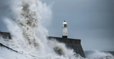 Ekstremalne zjawiska pogodowe na Bałtyku. Dekada badań wpływu sztormów na polskie wybrzeże