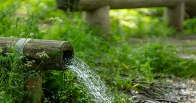 Naukowcy w Polsce badają źródła wody. To strażnicy zmian klimatycznych?