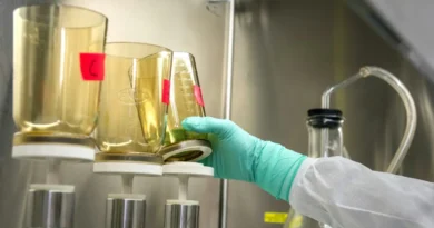 Polscy naukowcy badają nowy materiał polimerowy