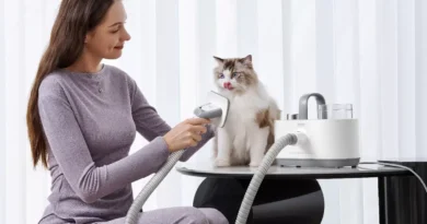 kobieta czesze kota szczotką do odkurzacza mova