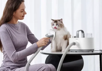 kobieta czesze kota szczotką do odkurzacza mova
