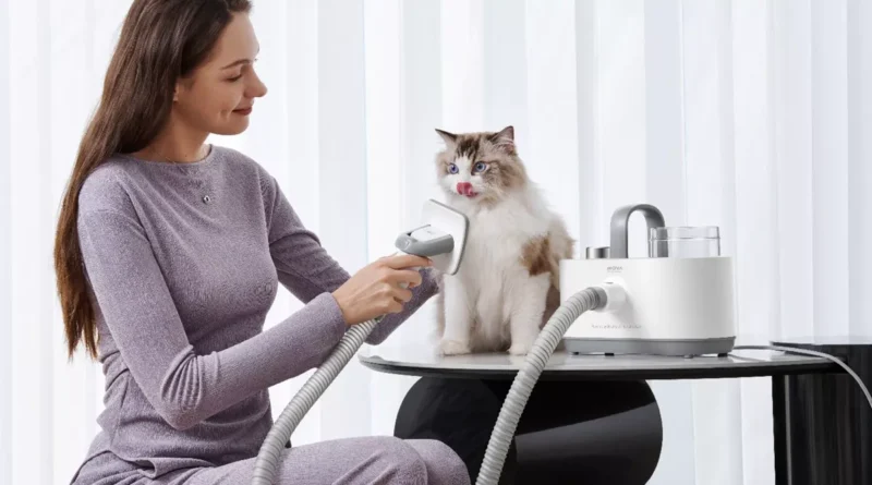 kobieta czesze kota szczotką do odkurzacza mova