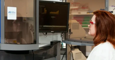 Nowa metoda obrazowania pozwala szczegółowo uwidocznić ukryte mikroskopijne włókna