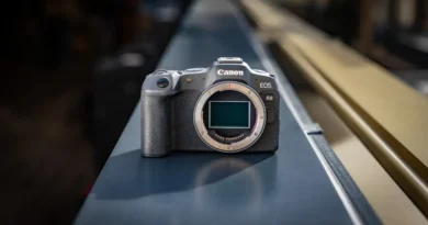 Canon EOS R8. Idealny wybór dla twórców video podczas Black Friday