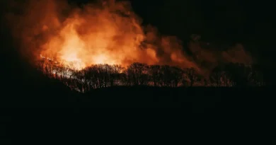 Jak przewidywać skutki i drogi rozprzestrzeniania się pożarów lasów? Naukowcy znaleźli sposób