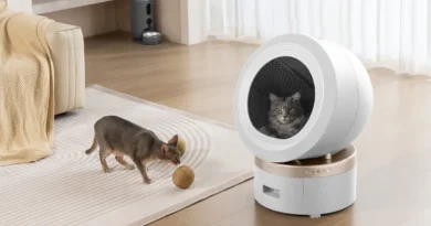 MOVA startuje z akcją dobroczynną Futrzasta Gwiazdka