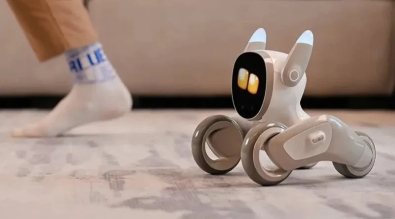 Interaktywny robot Loona debiutuje w Polsce Interaktywny robot Loona debiutuje w Polsce