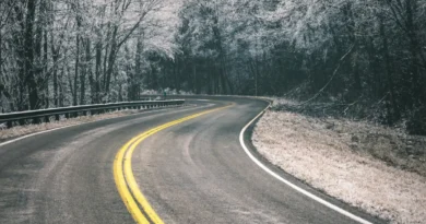 Sól na drogach jednak szkodzi środowisku. Nowe badania z Wrocławia