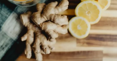 Polski imbir? Naukowcy z Poznania chcą stworzyć pierwszą taką odmianę