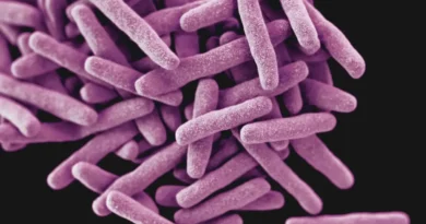 Obiecujący sposób walki z bakteriami odpornymi na antybiotyki