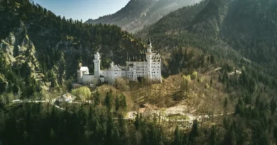 Średniowieczne bogactwo życia. Odkrycie polskich naukowców