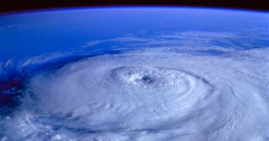 [NASZE WIDEO] Chiny zrobiły coś dobrze, ale skutek był niespodziewany