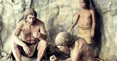 [NASZE WIDEO] Neandertalskie dzieci były… dziwne