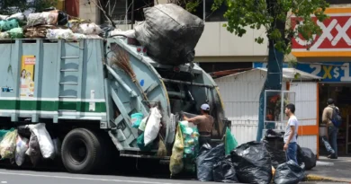Biodegradowalne tworzywa sztuczne i ich wpływ na środowisko