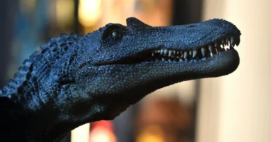 Rodzicielstwo dinozaurów. Naukowcy badają kluczowy element