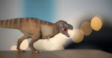 Małe nieznane tyranozaury żyły obok T. rexa. Potwierdzone badania