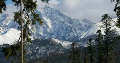 Naukowcy odkryli ślady dawnych trzęsień ziemi na Podhalu