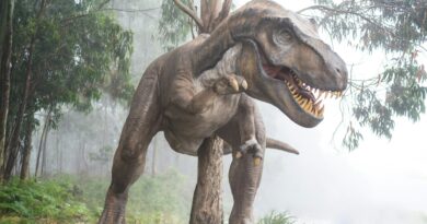 [NASZE WIDEO] Wiemy, co się stało z łapami T-Rexa. Czy tego się spodziewaliście?
