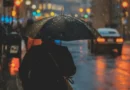 Niezwykłe odkrycie naukowców z UJ. Stworzyli podłoże, które zatrzymuje 95% deszczówki!