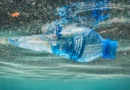 Wnika głęboko do organizmu i rozregulowuje hormony. Nowe badania nad mikroplastikiem przerażają! Wnika głęboko do organizmu i rozregulowuje hormony. Nowe badania nad mikroplastikiem przerażają!