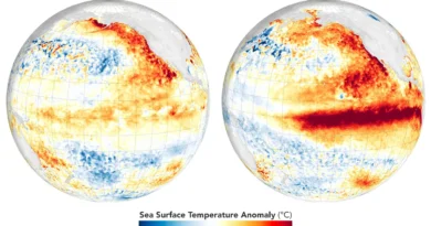 [NASZE WIDEO] Super El Niño można powstrzymać, ale Europejczycy nie będą zadowoleni