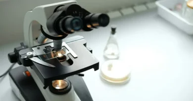 Przełom w in vitro. To bardzo dobra informacja dla przyszłych rodziców